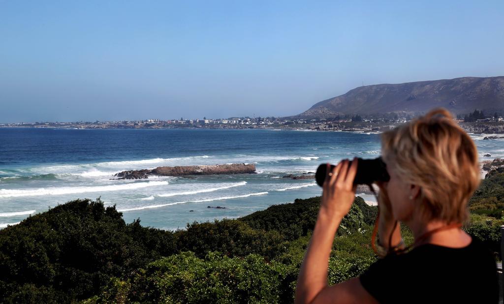 Hermanus Beach Villa 外观 照片