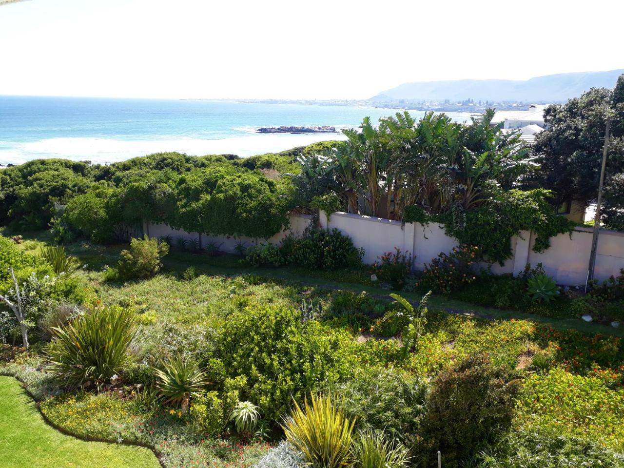 Hermanus Beach Villa 外观 照片
